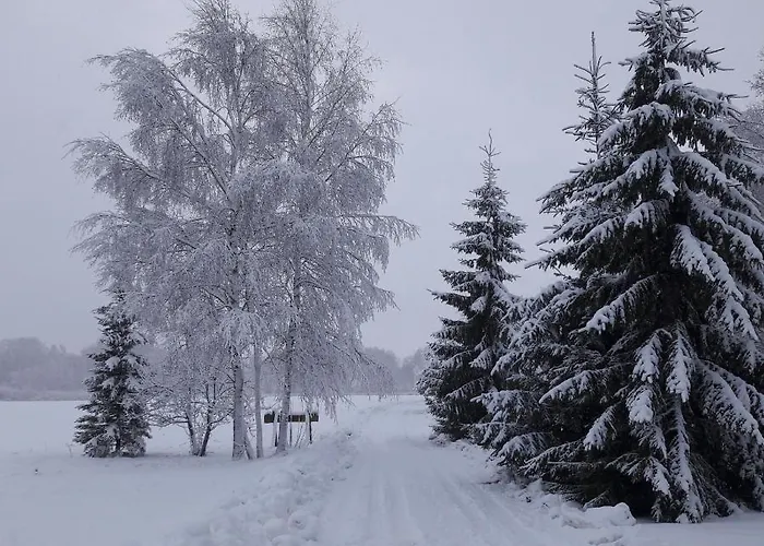 Hiiemaee Puhkemaja Casa vacanze