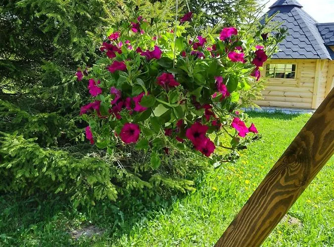 Hiiemaee Puhkemaja Casa vacanze *